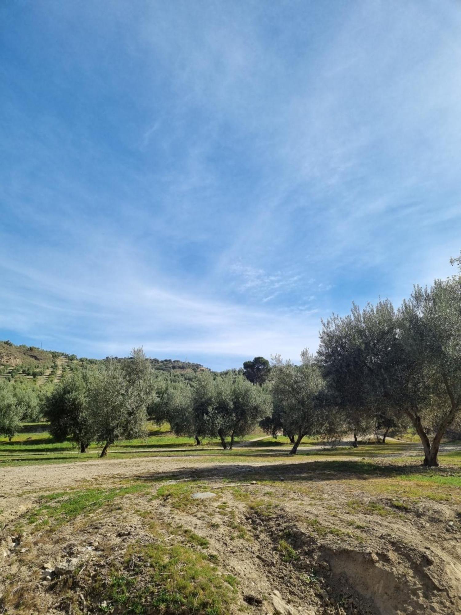 La Colina Ladyblue Apto Acogedor Cerca De Sierra Nevada Y Alhambra Lägenhet Cenes De La Vega Exteriör bild