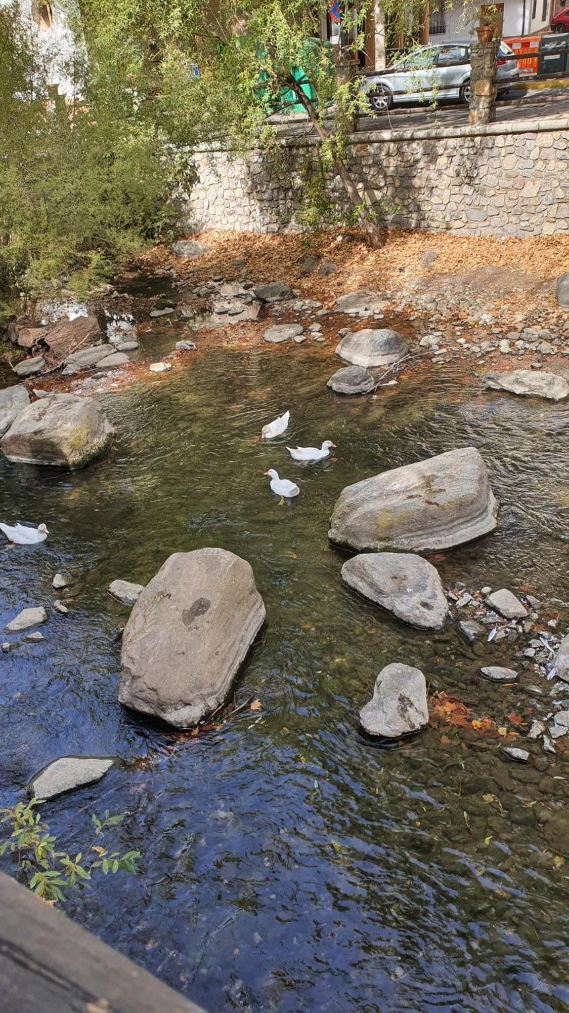 La Colina Ladyblue Apto Acogedor Cerca De Sierra Nevada Y Alhambra Lägenhet Cenes De La Vega Exteriör bild